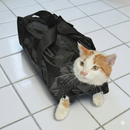 Bolsa de Banho para Gatos Top Performance